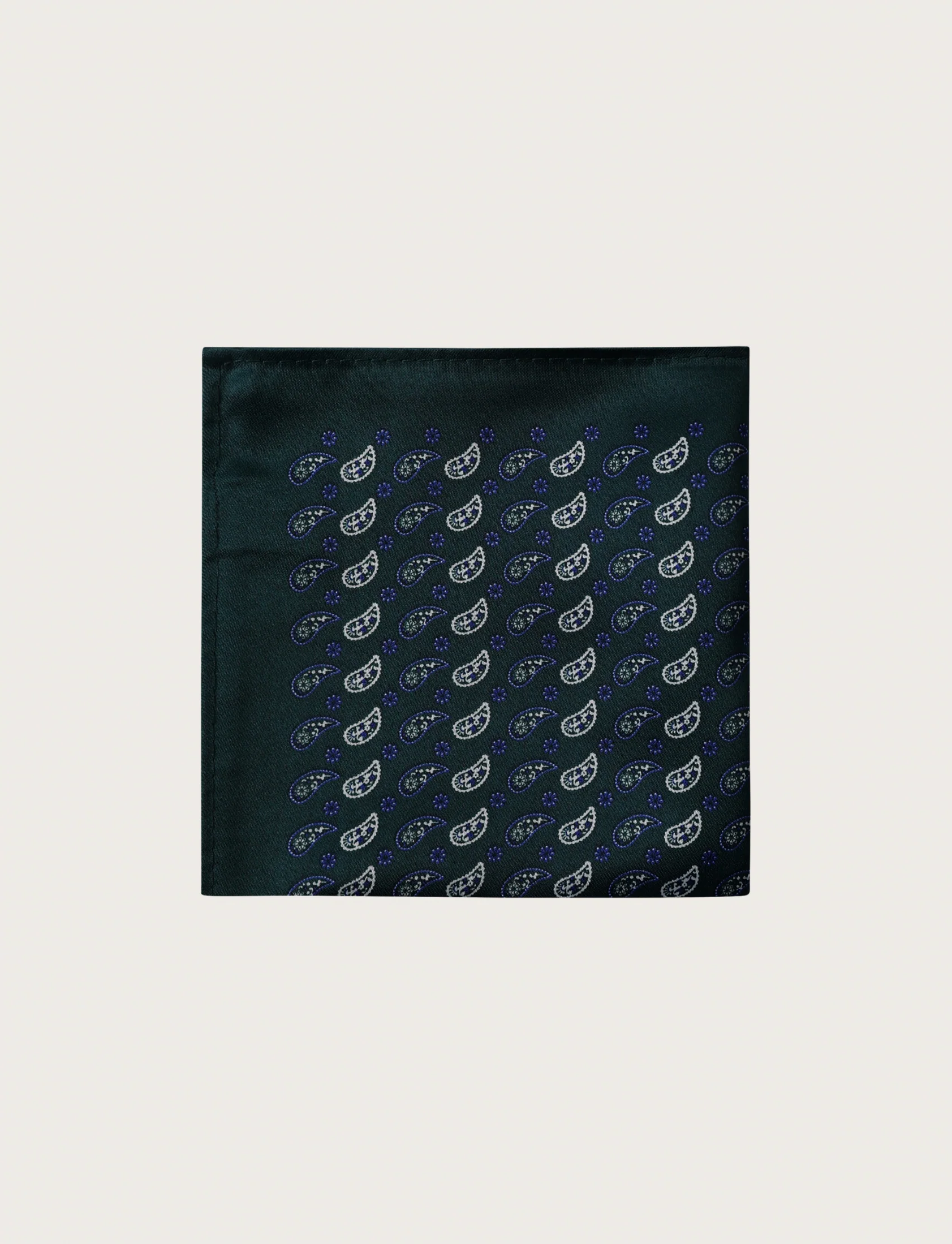 Pochette fantasia pois e paisley - Image 13