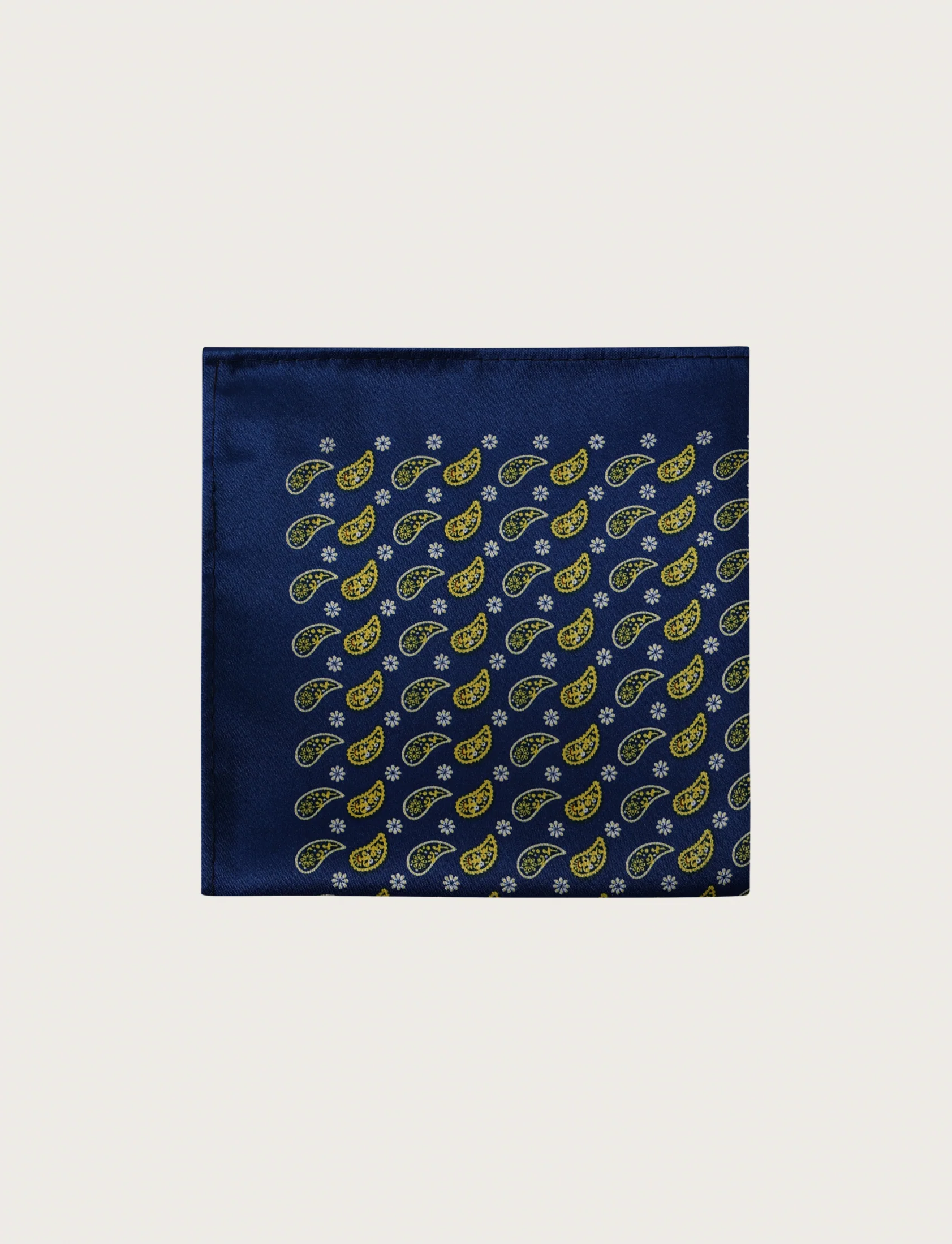 Pochette fantasia pois e paisley - Image 23