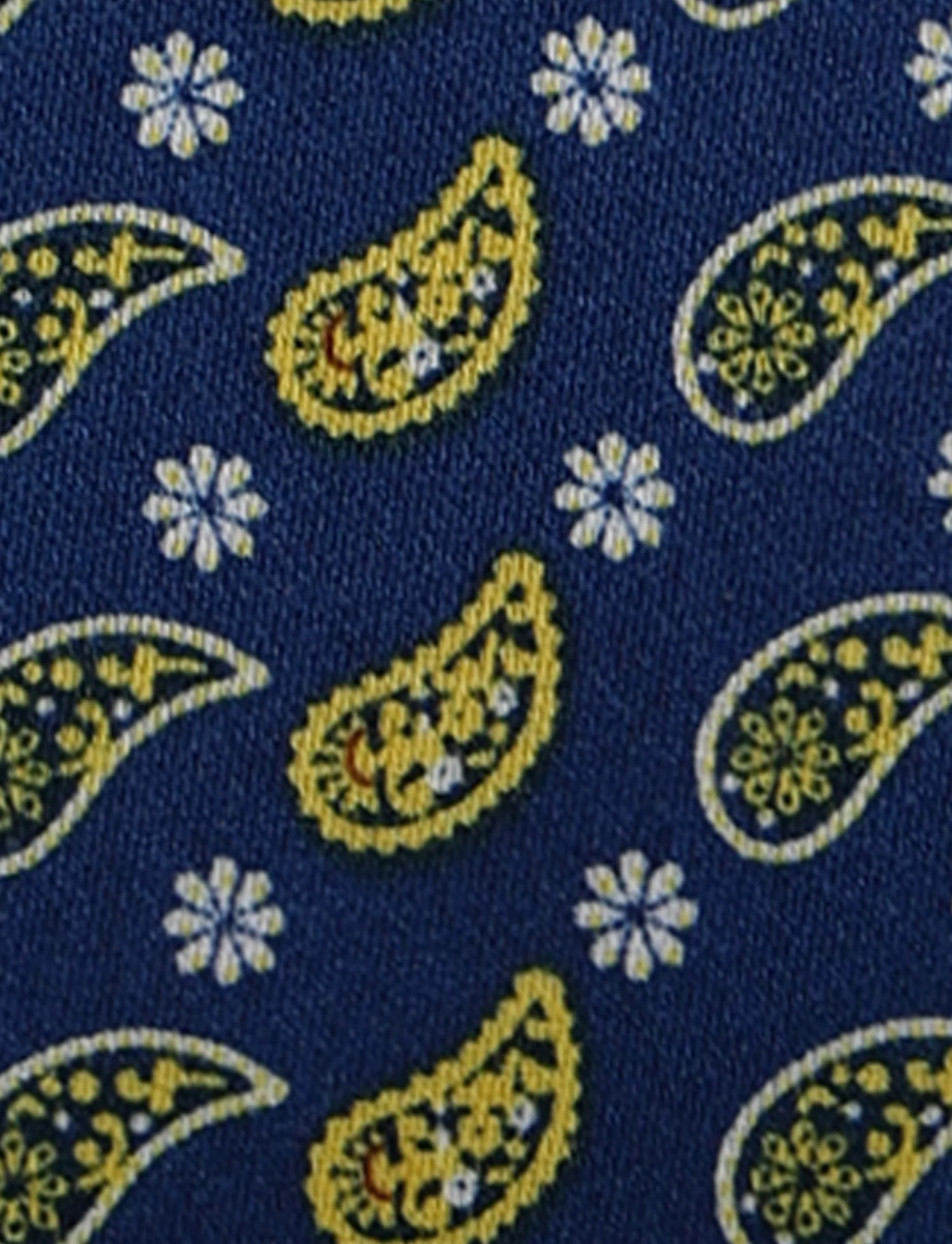 Pochette fantasia pois e paisley - Image 24