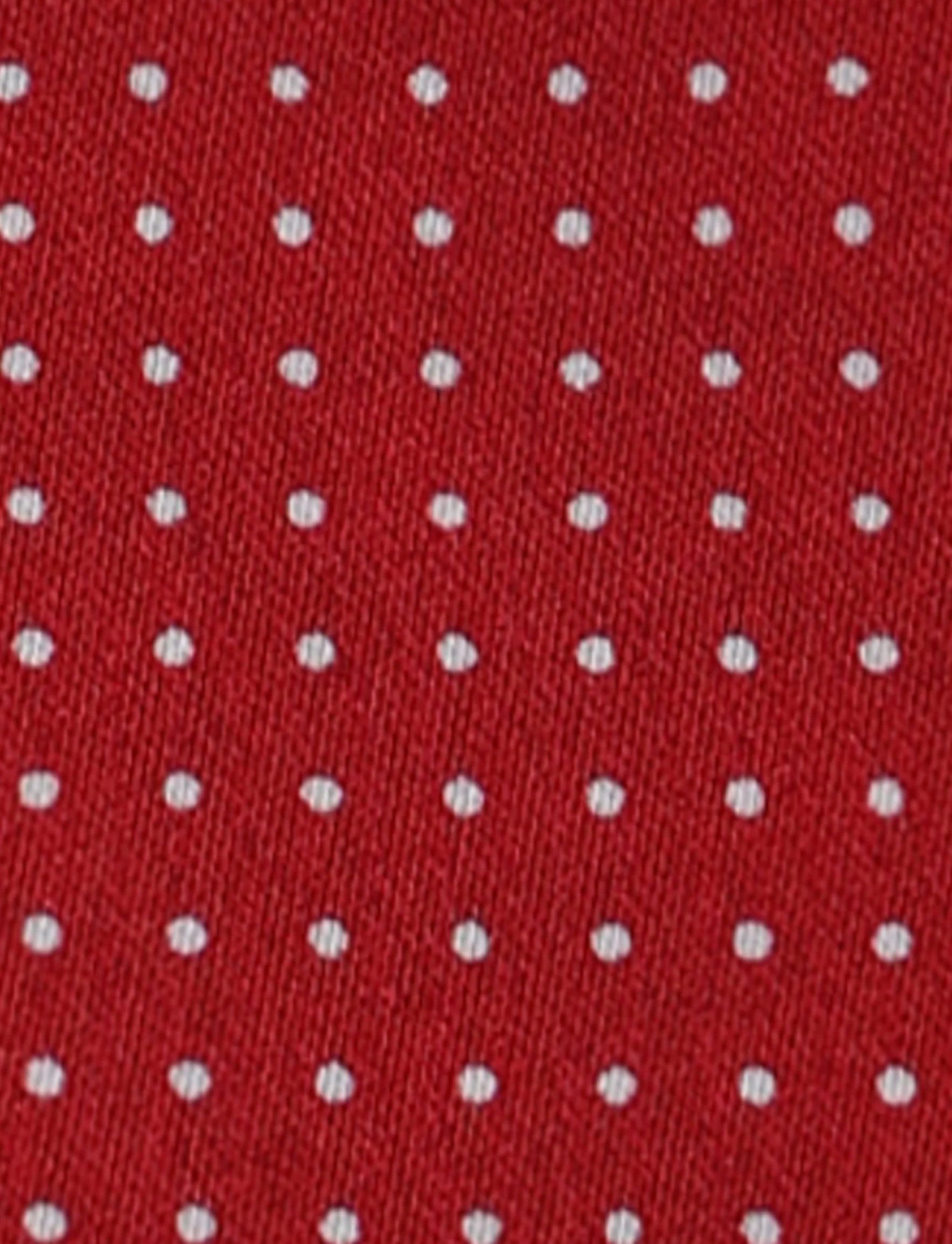 Pochette fantasia pois e paisley - Image 26