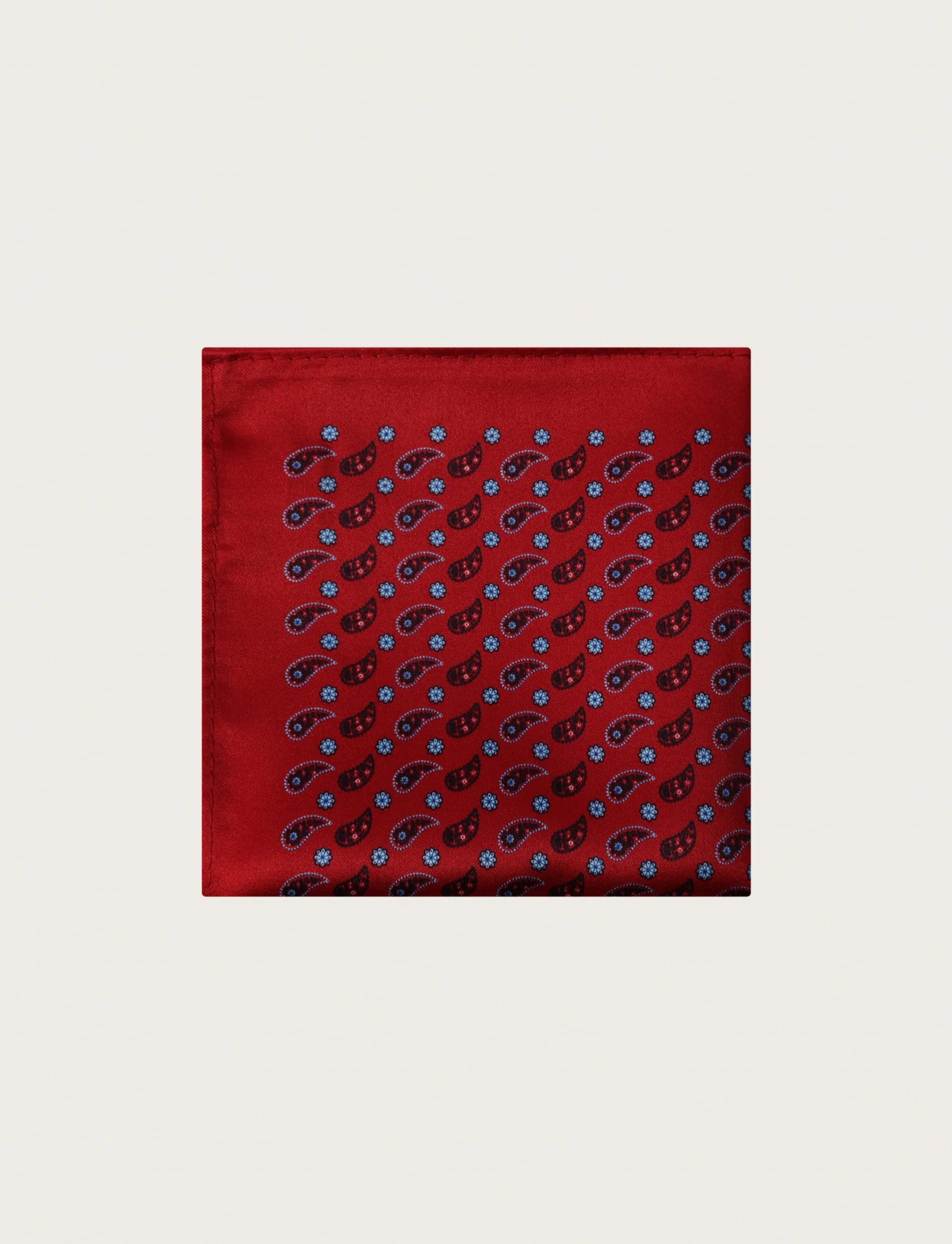 Pochette fantasia pois e paisley - Image 29