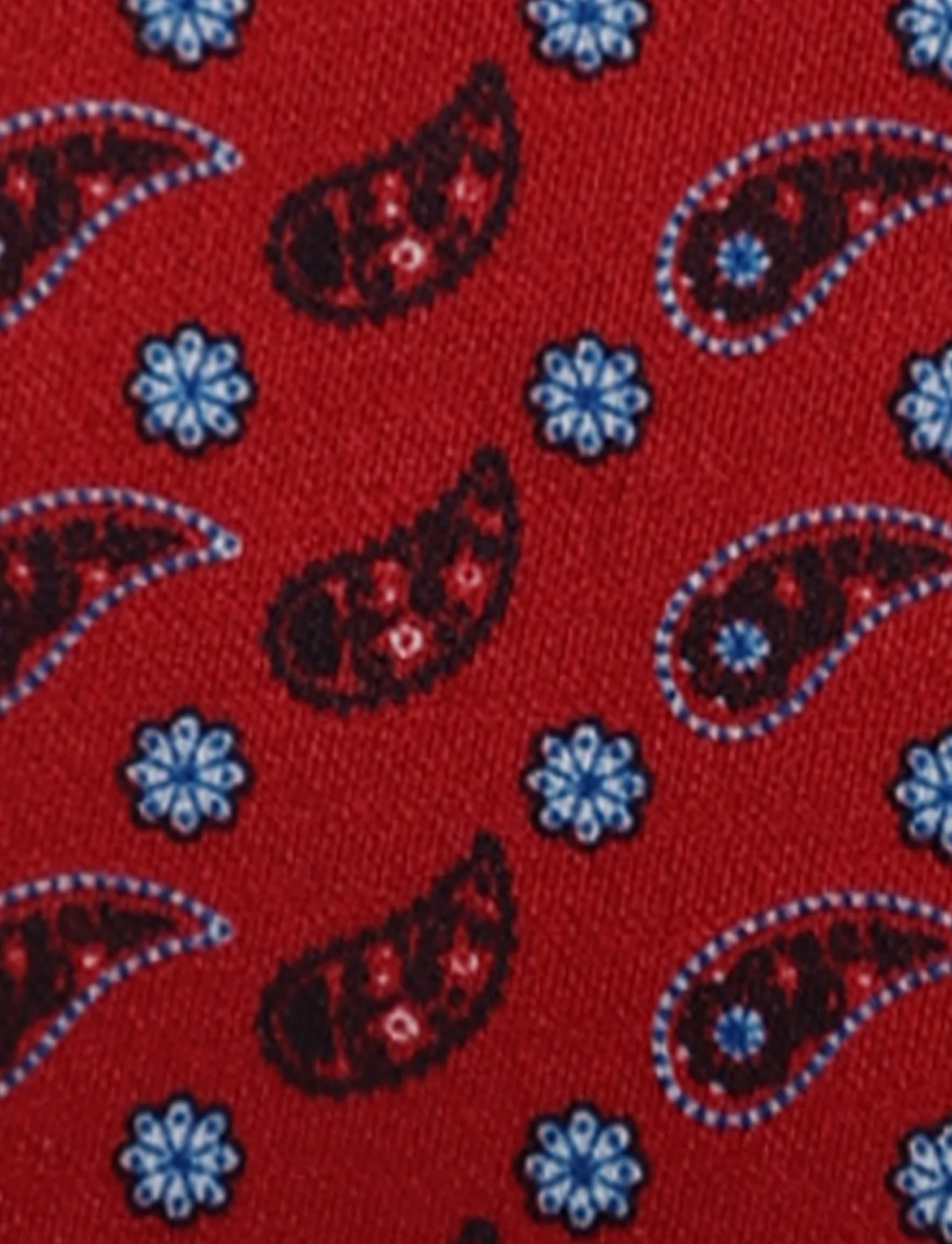 Pochette fantasia pois e paisley - Image 30